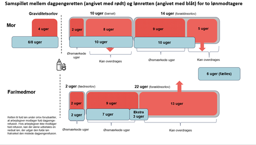 Barselsregler Ok24